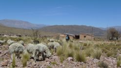 Humahuaca area, Argentina